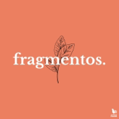 fragmentos.