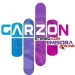 Garzón Stereo